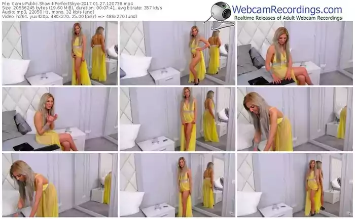 cams-perfectskye-webcam-show-01_27_2017-12_07_38