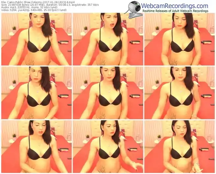 cams-alenny-webcam-show-01_28_2017-18_13_14