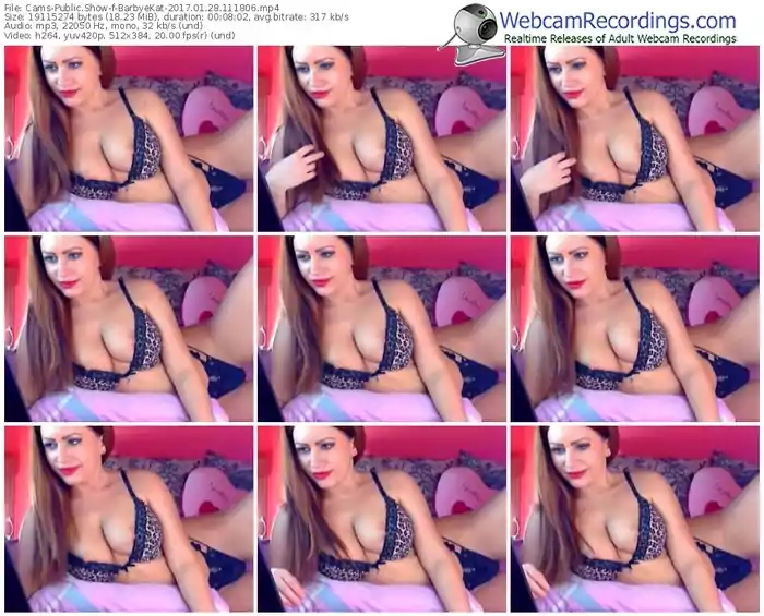 cams-barbyekat-webcam-show-01_28_2017-11_18_06