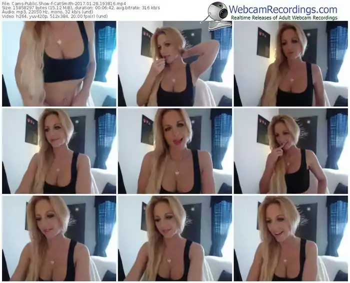 cams-catsmith-webcam-show-01_28_2017-19_38_16