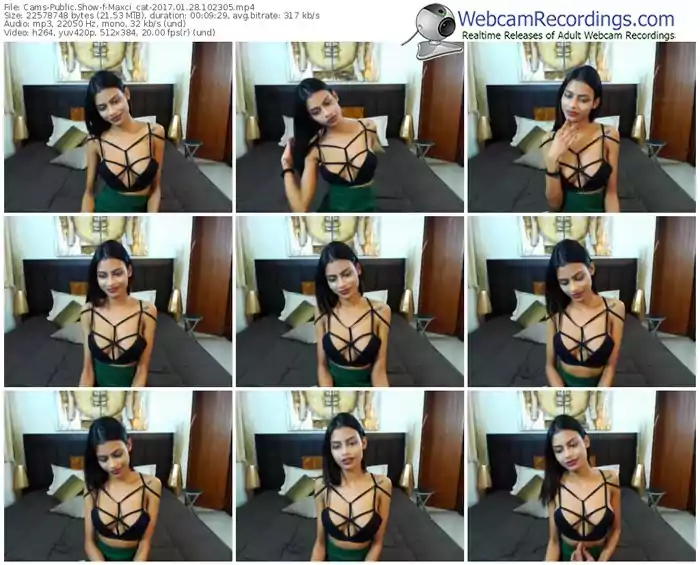 cams-maxci_cat-webcam-show-01_28_2017-10_23_05