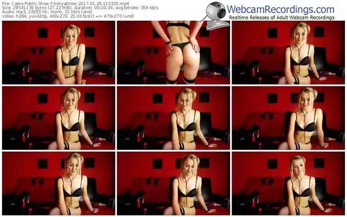 cams-sonyadrew-webcam-show-01_29_2017-11_53_35