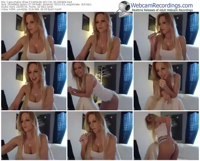 cams-catsmith-webcam-show-01_30_2017-18_09_09