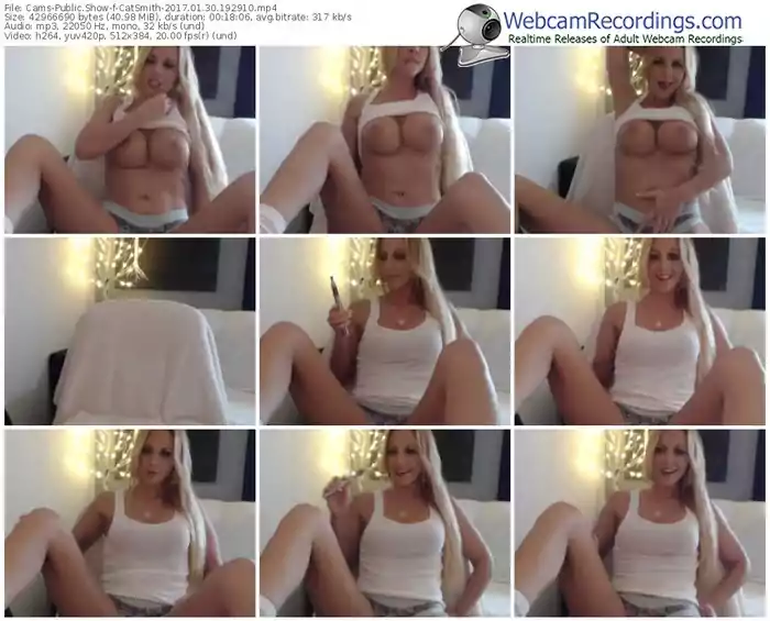 cams-catsmith-webcam-show-01_30_2017-19_29_10