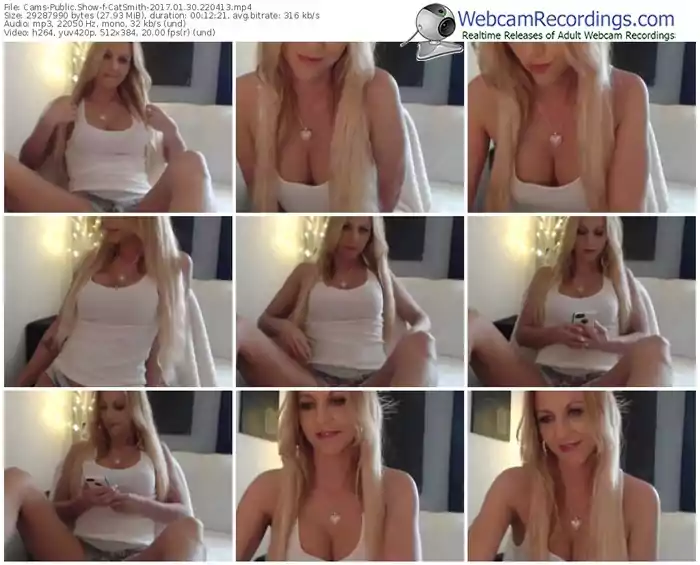 cams-catsmith-webcam-show-01_30_2017-22_04_13