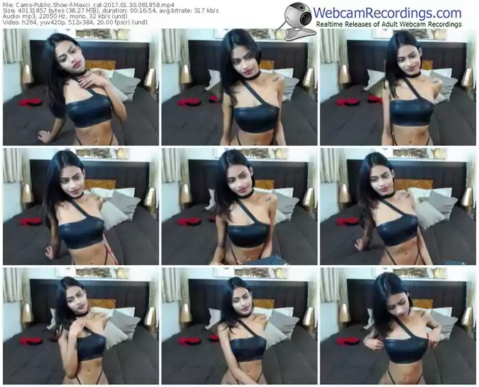 cams-maxci_cat-webcam-show-01_30_2017-08_18_58