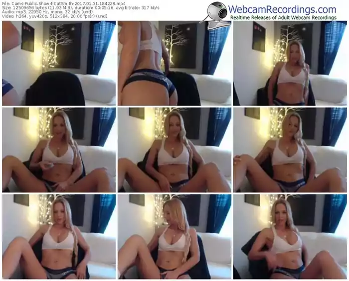 cams-catsmith-webcam-show-01_31_2017-18_42_28