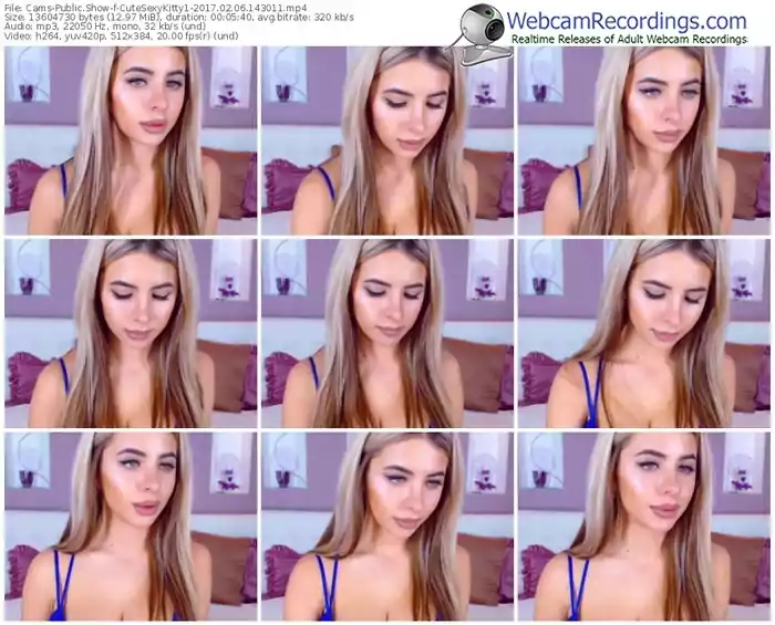 cams-cutesexykitty1-webcam-show-02_06_2017-14_30_11