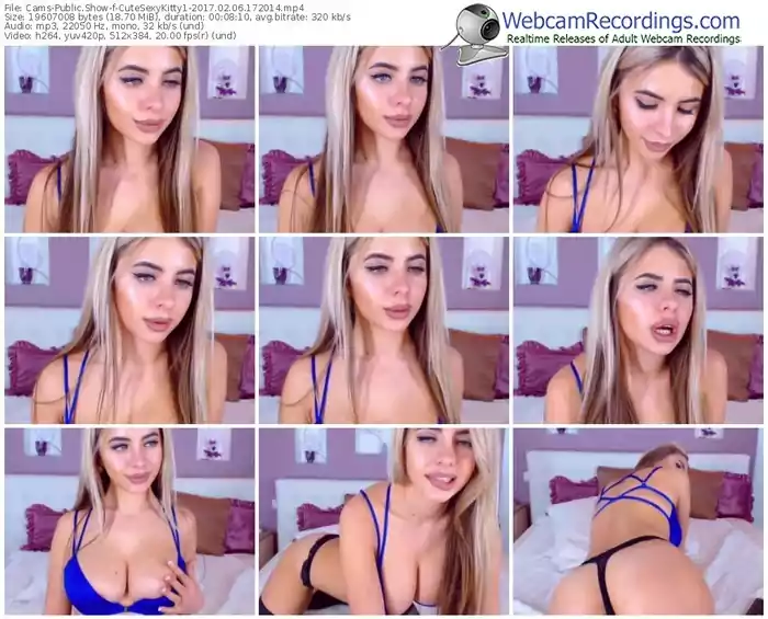 cams-cutesexykitty1-webcam-show-02_06_2017-17_20_14