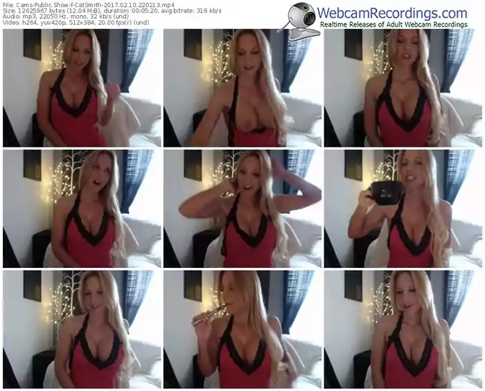cams-catsmith-webcam-show-02_10_2017-22_02_13