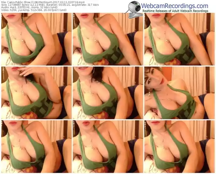 cams-18kittensquirt-webcam-show-02_11_2017-02_07_18
