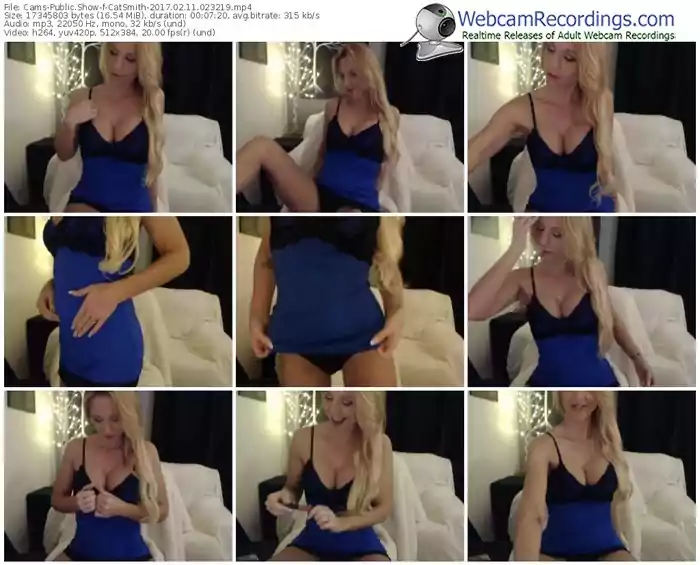 cams-catsmith-webcam-show-02_11_2017-02_32_19