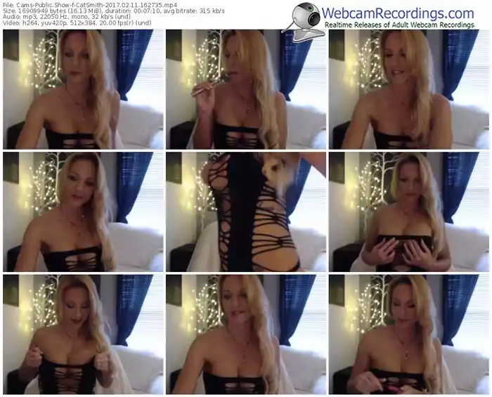 cams-catsmith-webcam-show-02_11_2017-16_27_35