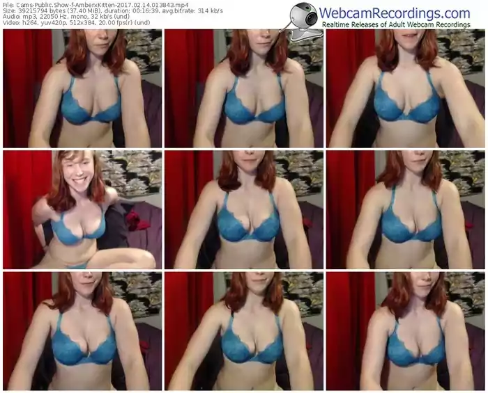 cams-amberxkitten-webcam-show-02_14_2017-01_38_43