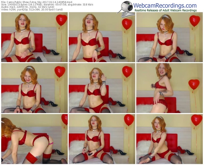 cams-ana_sky-webcam-show-02_14_2017-14_08_58