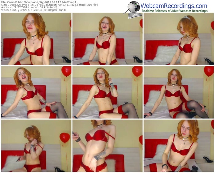 cams-ana_sky-webcam-show-02_14_2017-17_44_02