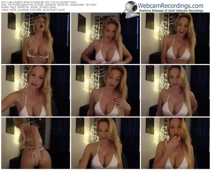 cams-catsmith-webcam-show-02_14_2017-22_29_07