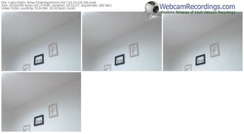 cams-dakotajohnson-webcam-show-02_14_2017-03_13_45