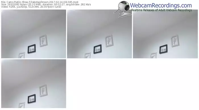 cams-dakotajohnson-webcam-show-02_14_2017-03_13_45