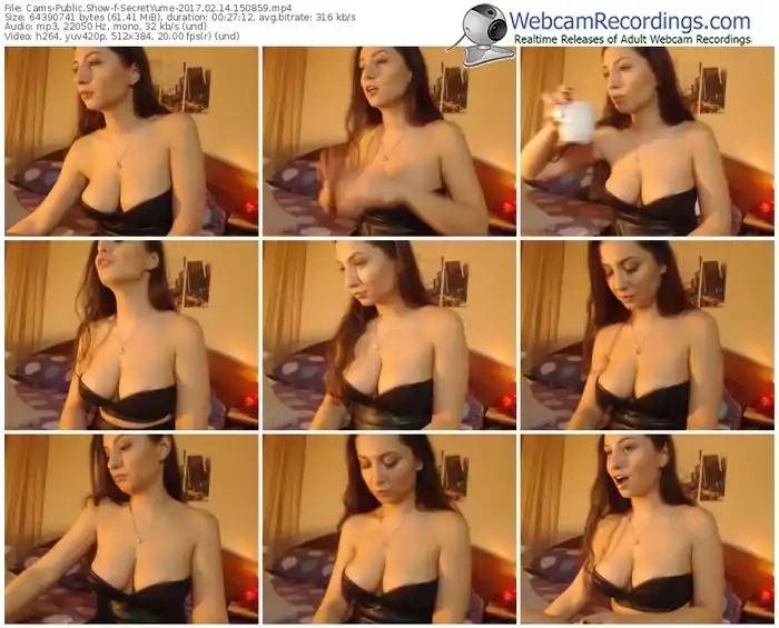 cams-secretyume-webcam-show-02_14_2017-15_08_59