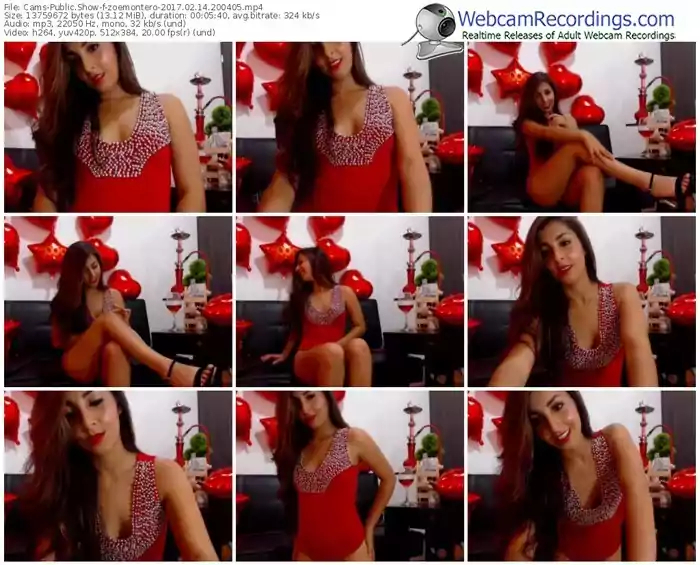 cams-zoemontero-webcam-show-02_14_2017-20_04_05