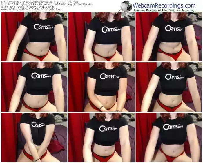 cams-amberxkitten-webcam-show-02_15_2017-23_19_37