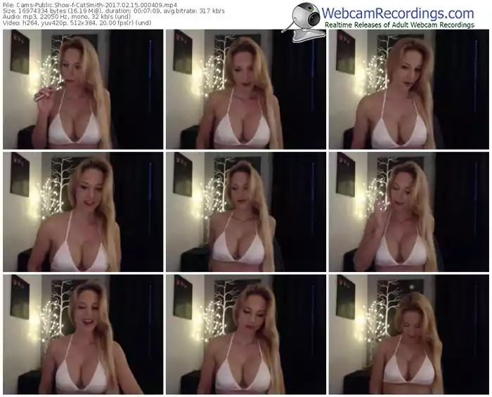 cams-catsmith-webcam-show-02_15_2017-00_04_09