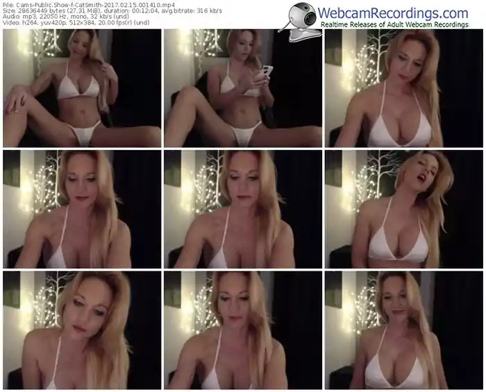 cams-catsmith-webcam-show-02_15_2017-00_14_10