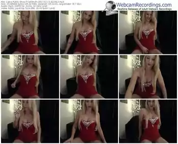 cams-catsmith-webcam-show-02_15_2017-02_29_12