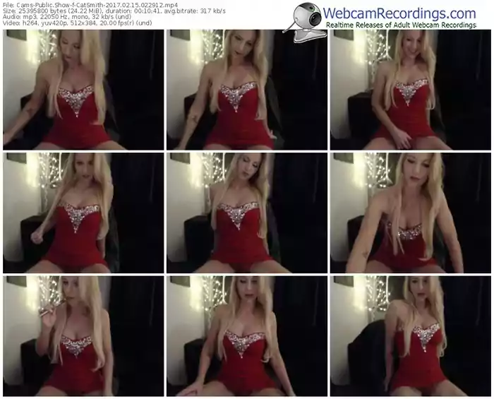 cams-catsmith-webcam-show-02_15_2017-02_29_12