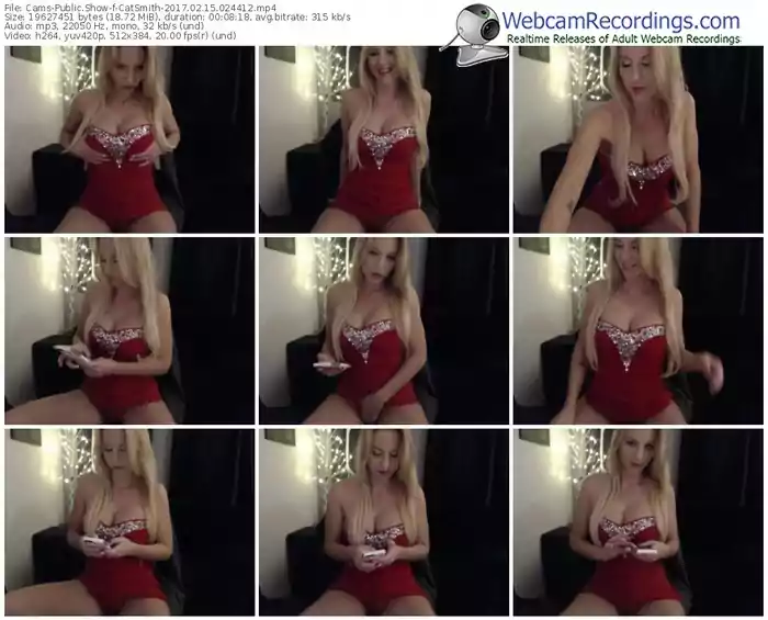 cams-catsmith-webcam-show-02_15_2017-02_44_12