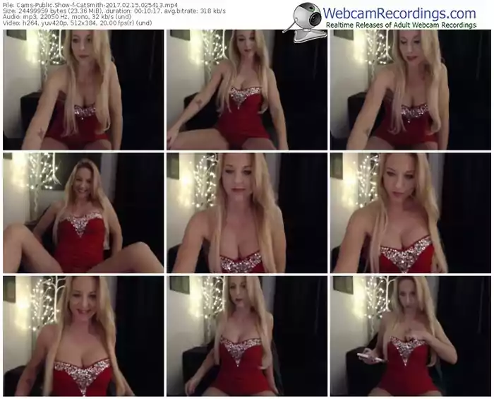 cams-catsmith-webcam-show-02_15_2017-02_54_13