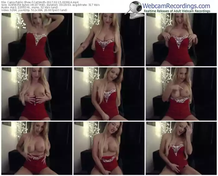 cams-catsmith-webcam-show-02_15_2017-03_39_14