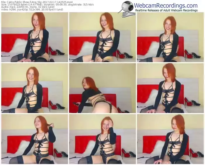 cams-ana_sky-webcam-show-02_17_2017-14_25_25