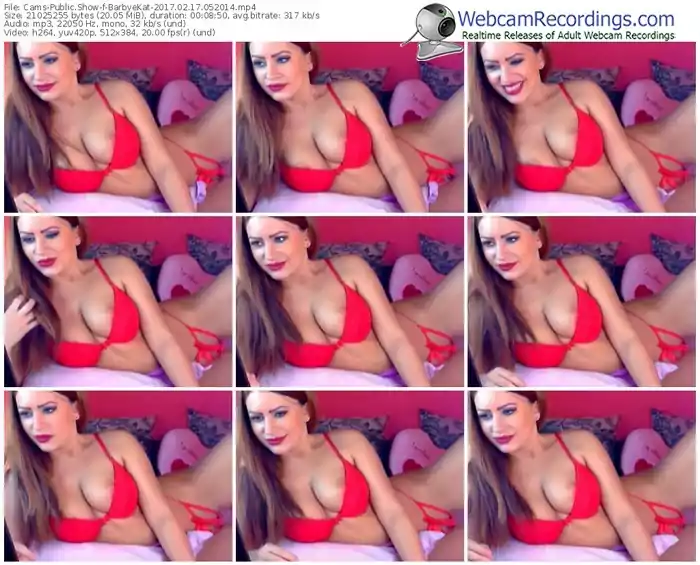 cams-barbyekat-webcam-show-02_17_2017-05_20_14