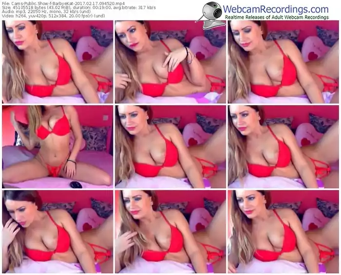 cams-barbyekat-webcam-show-02_17_2017-09_45_20