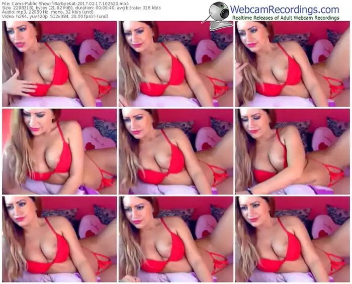 cams-barbyekat-webcam-show-02_17_2017-10_25_20