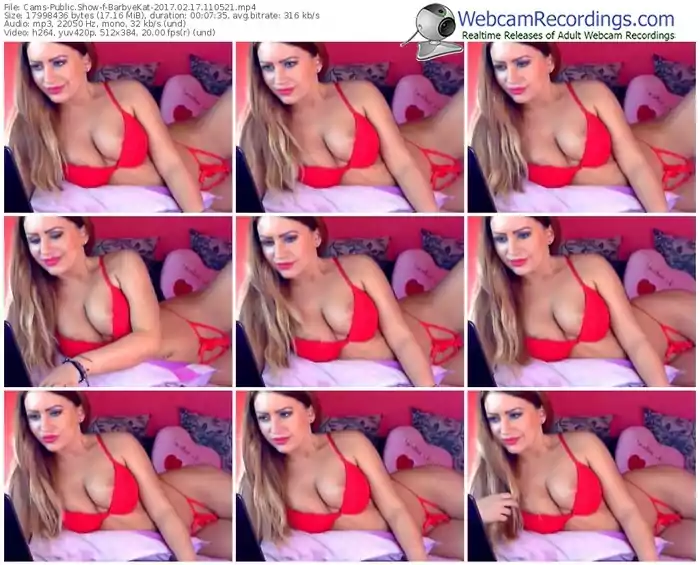 cams-barbyekat-webcam-show-02_17_2017-11_05_21