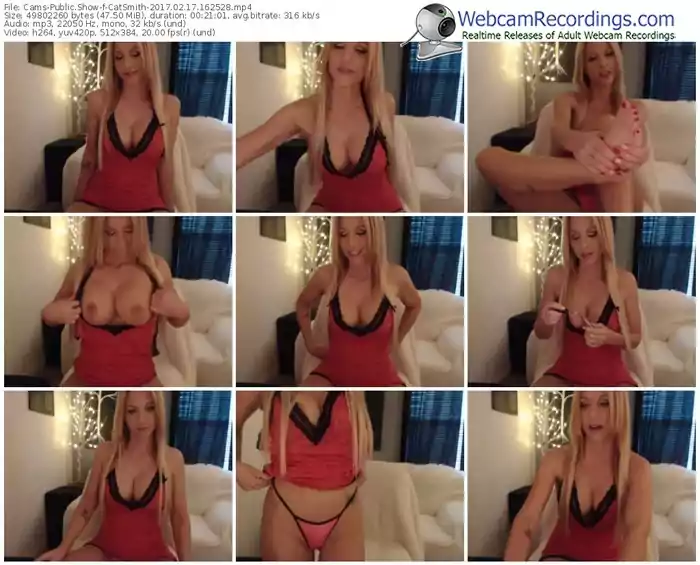 cams-catsmith-webcam-show-02_17_2017-16_25_28