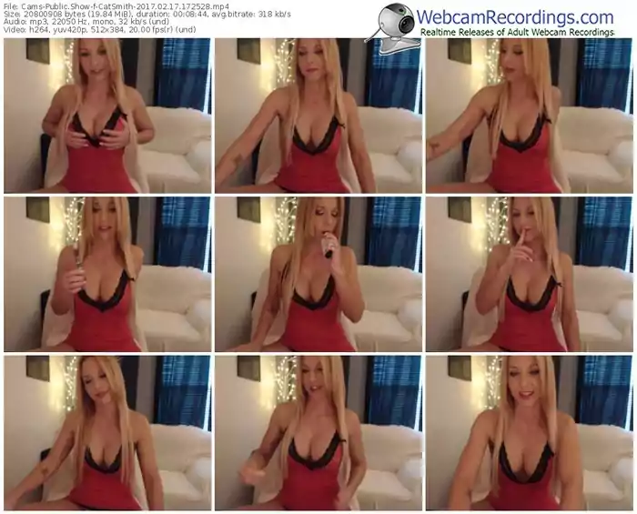 cams-catsmith-webcam-show-02_17_2017-17_25_28
