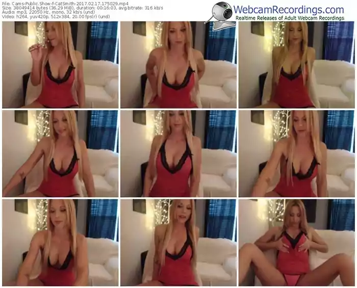 cams-catsmith-webcam-show-02_17_2017-17_50_29