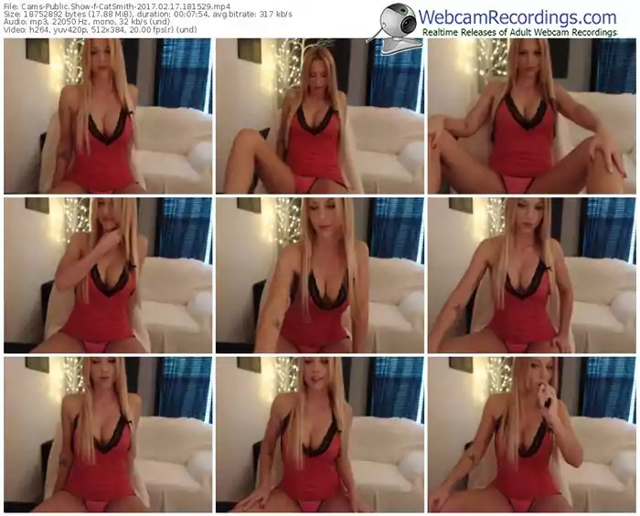 cams-catsmith-webcam-show-02_17_2017-18_15_29