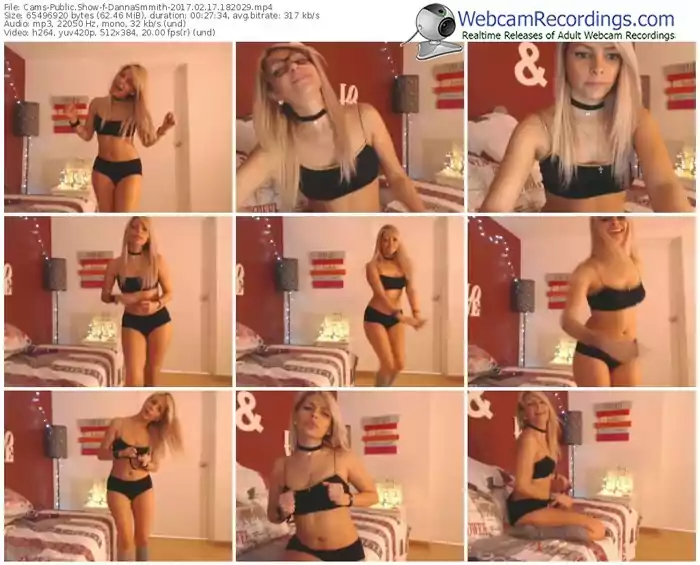 cams-dannasmmith-webcam-show-02_17_2017-18_20_29