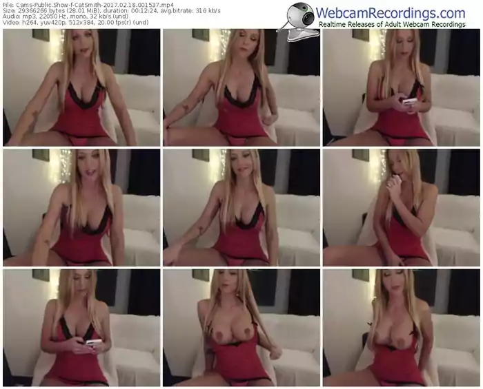 cams-catsmith-webcam-show-02_18_2017-00_15_37