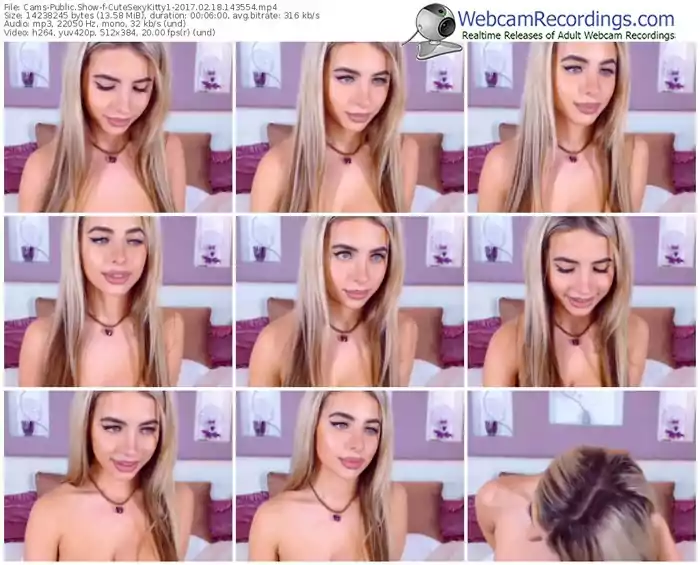 cams-cutesexykitty1-webcam-show-02_18_2017-14_35_54