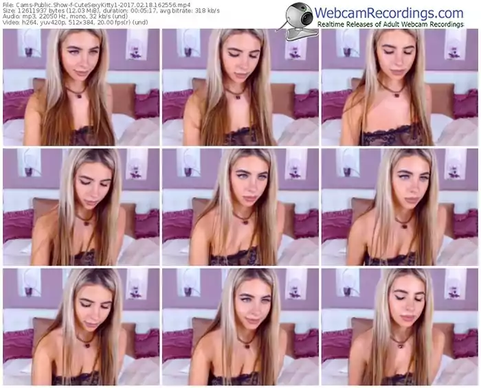 cams-cutesexykitty1-webcam-show-02_18_2017-16_25_56