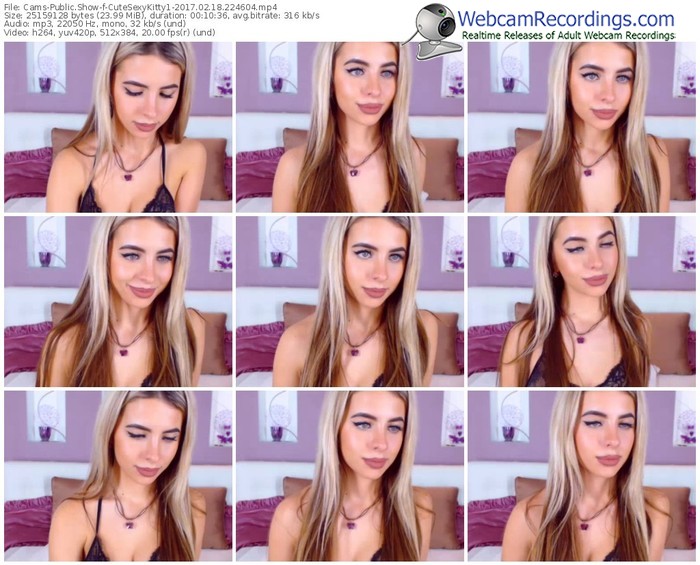 cams-cutesexykitty1-webcam-show-02_18_2017-22_46_04
