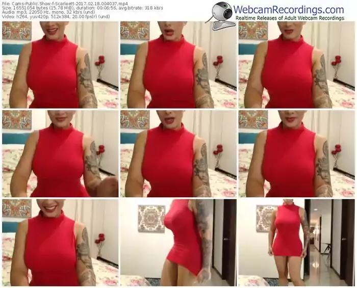 cams-scarleett-webcam-show-02_18_2017-00_40_37