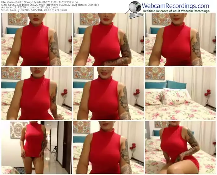 cams-scarleett-webcam-show-02_18_2017-02_15_39