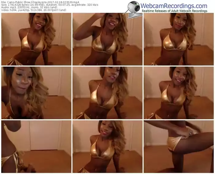 cams-hayleysins-webcam-show-02_18_2017-02_35_39